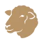 Premium sheep